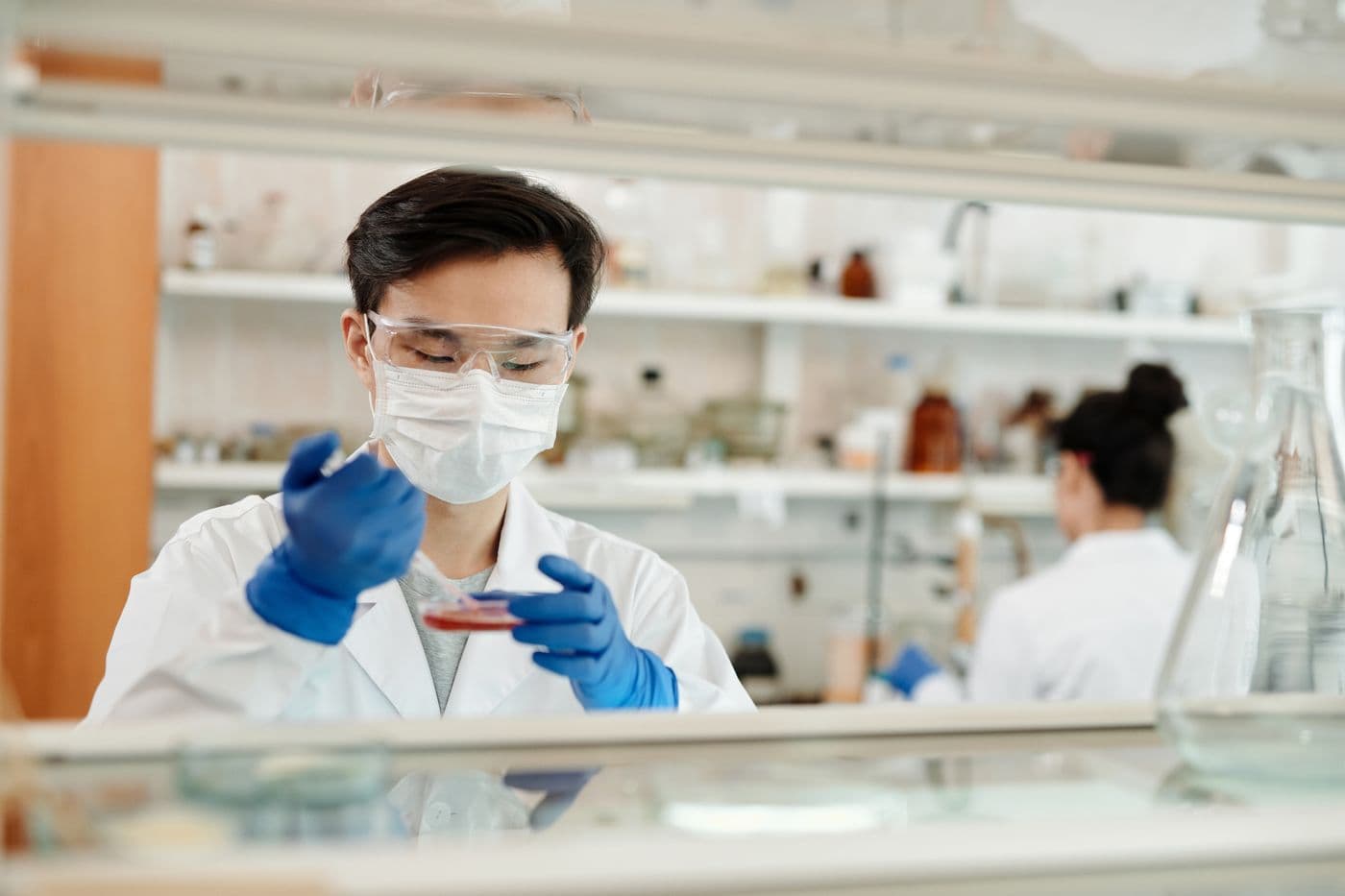 Lab technician in a mask, safety glasses, and gloves examining a sample in a petri dish